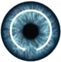 LASIK 20mm Flap